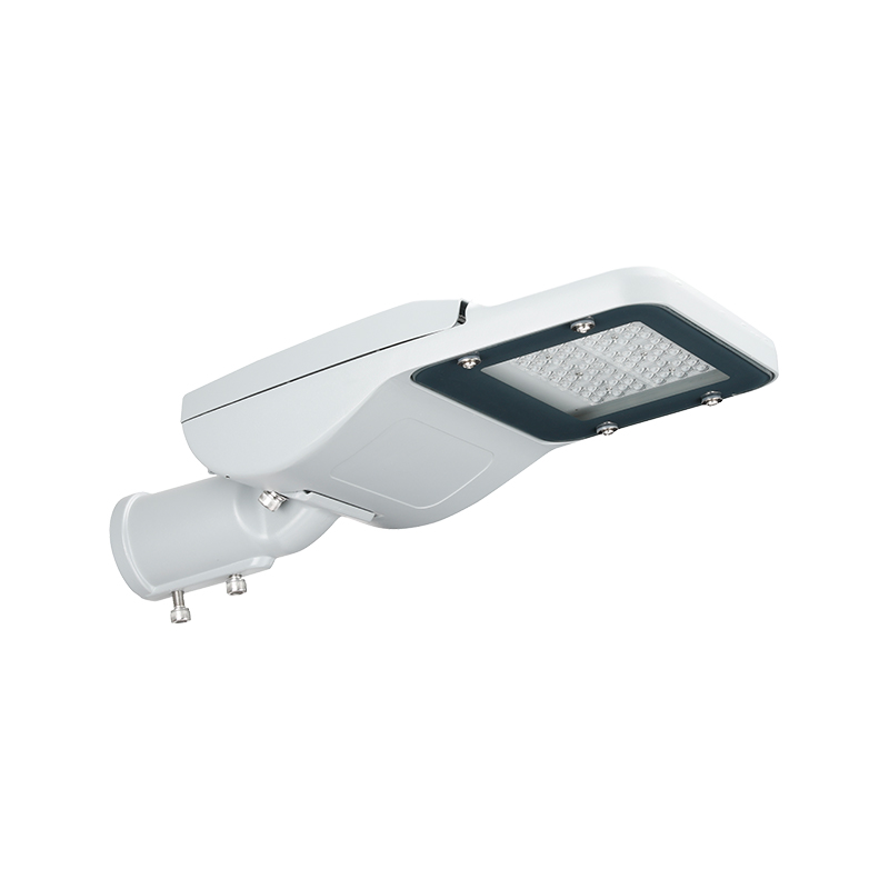 Réverbère LED réglable série PACIFIC PRO pour éclairage public